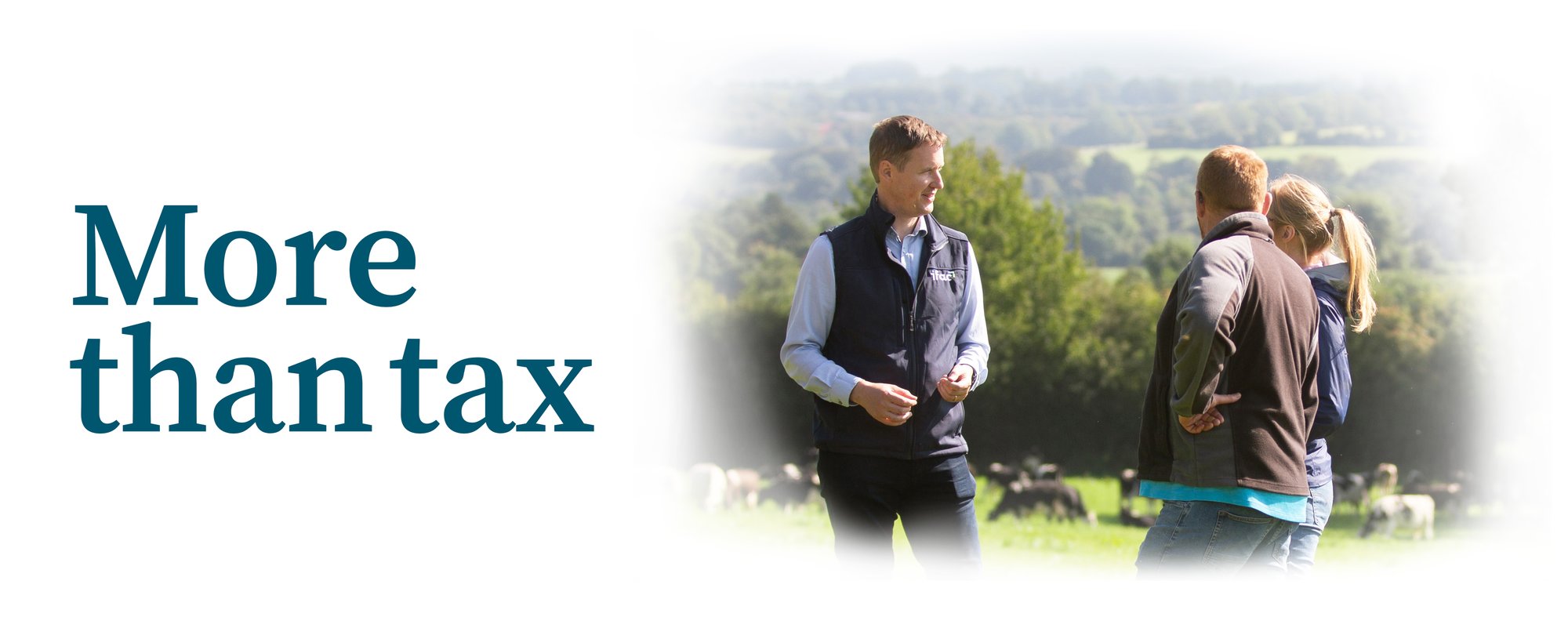 Dairy-advertising-campaign-1